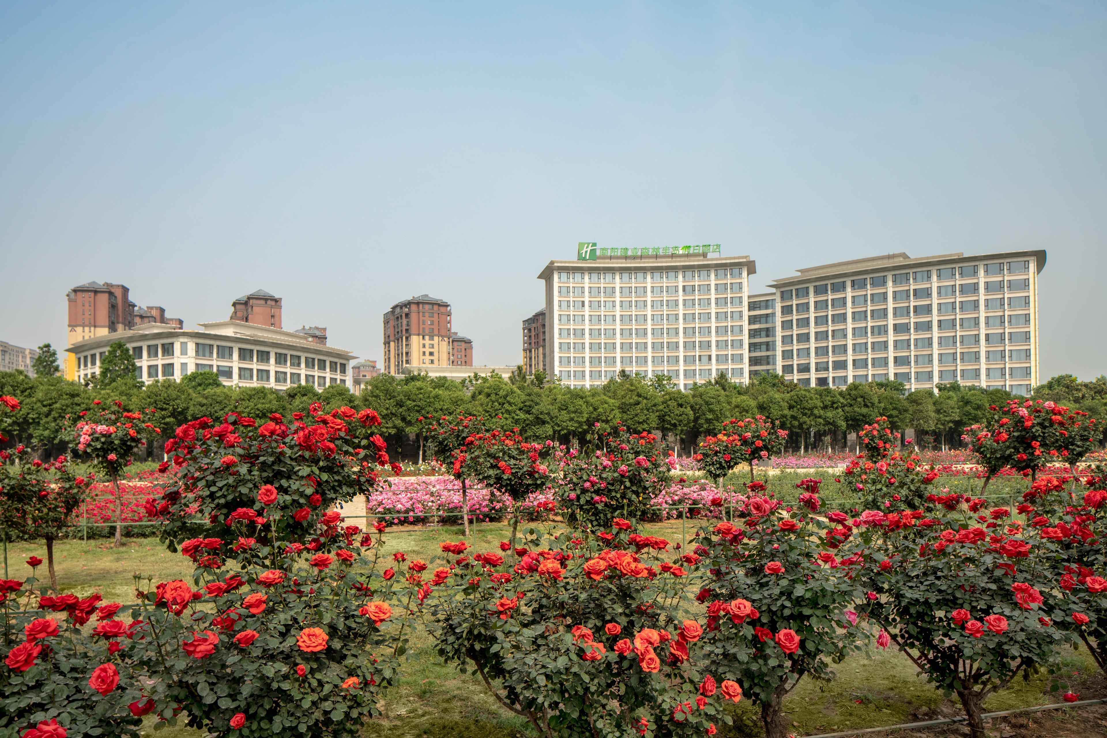 Holiday Inn Nanyang By Ihg Exteriör bild