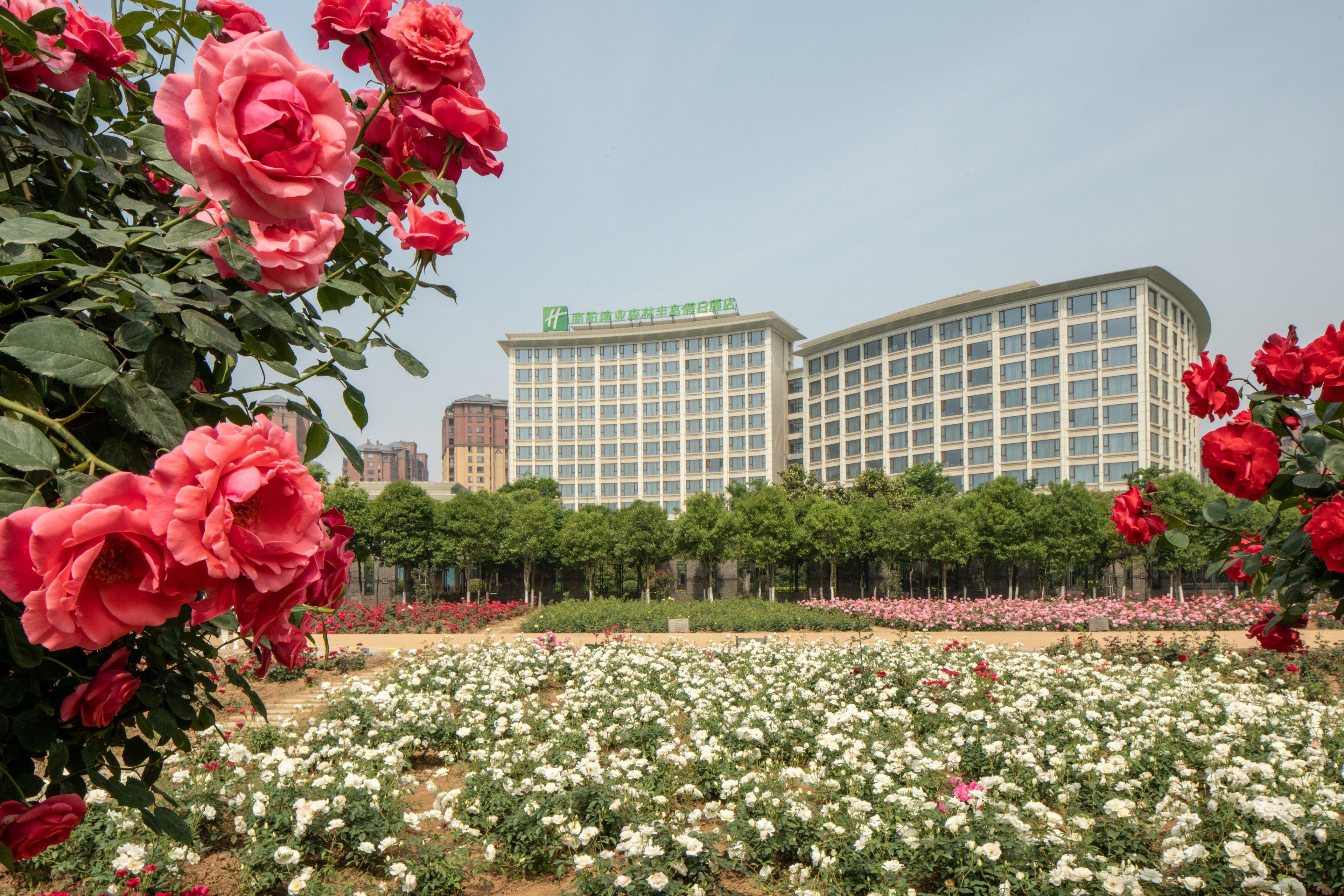 Holiday Inn Nanyang By Ihg Exteriör bild